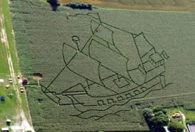 Unser Maislabyrinth 2009 in Form eines Piratenschiffes