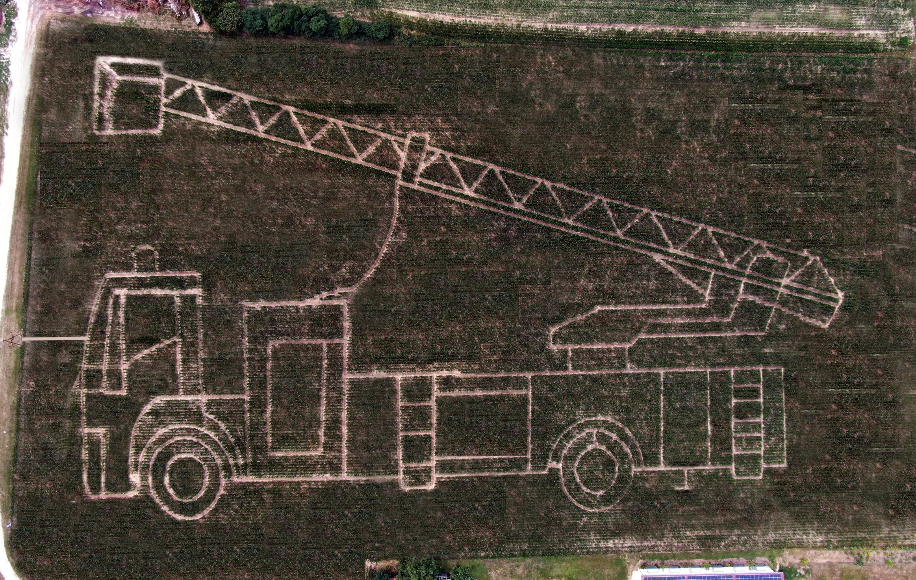 Unser Maislabyrinth 2023 in Form eines Feuerwehrautos