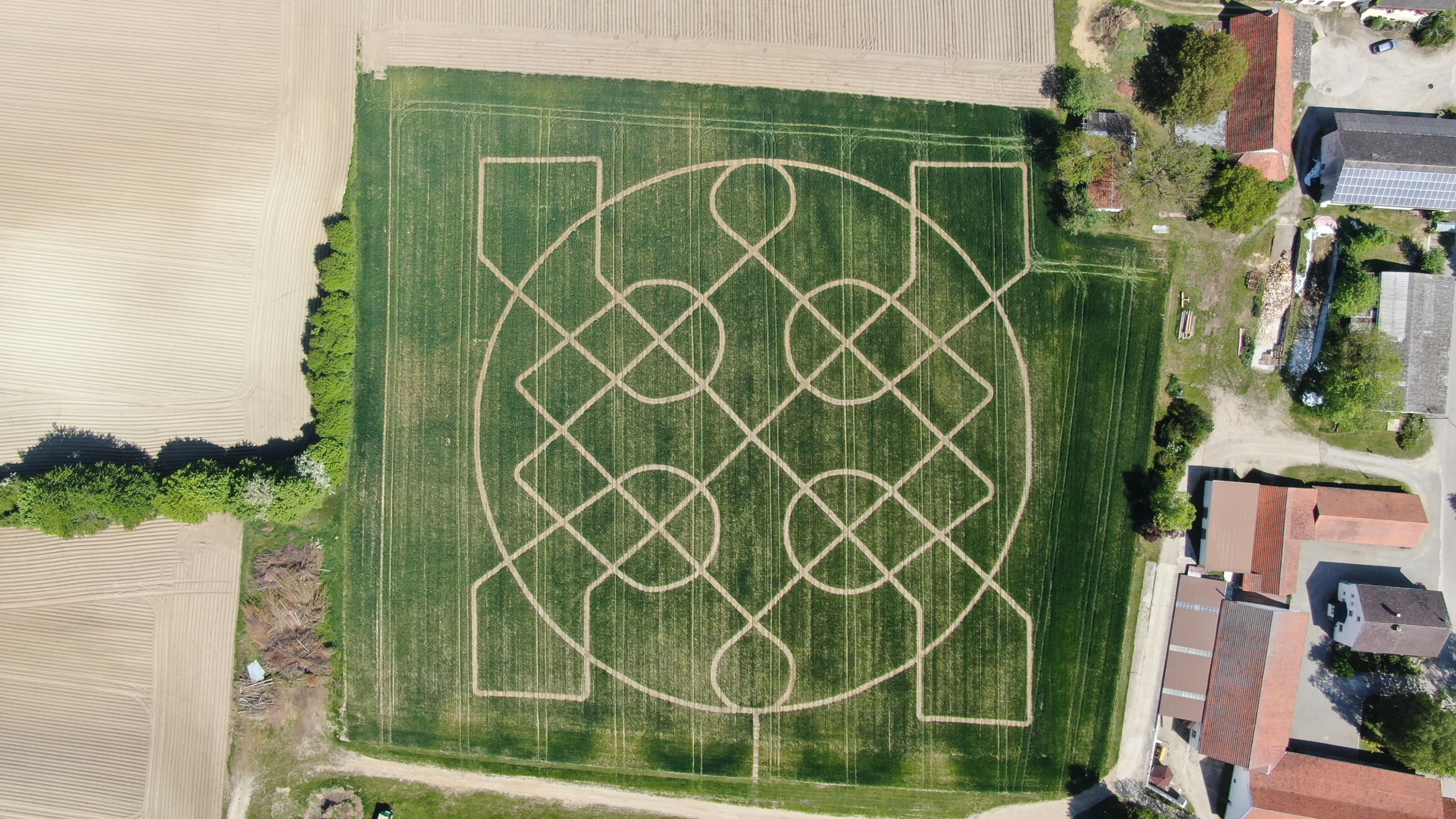 Unser Weizenlabyrinth 2019